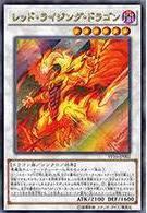 VP16-JP002 赤紅昇龍 金亮 日紙