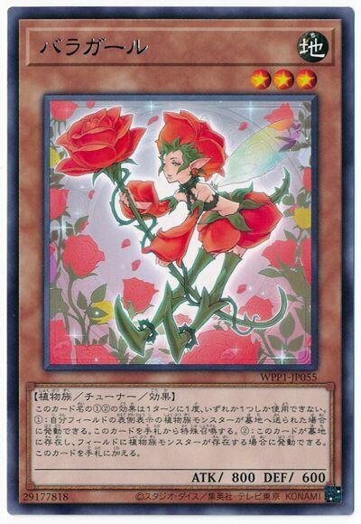 WPP1-JP055 薔薇女孩 銀字