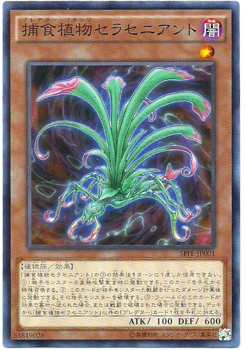 SPFE-JP001 捕食植物瓶子草蟻 (普卡)