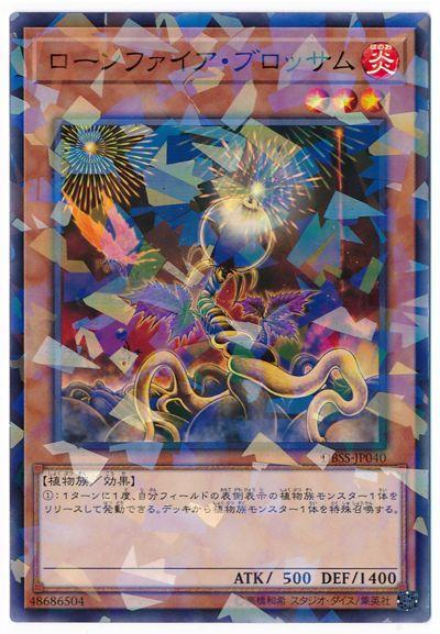 DBSS-JP040 孤燃花 (普鑽)