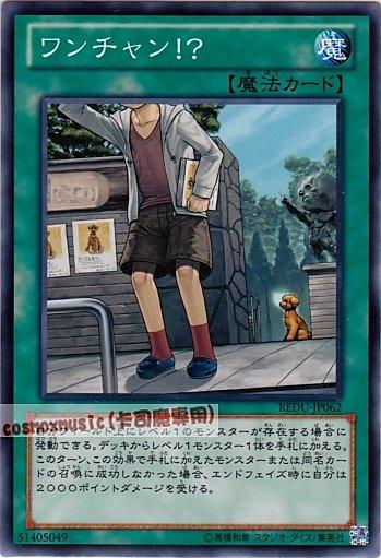 REDU-JP062 唯一機會！？普卡 (801)