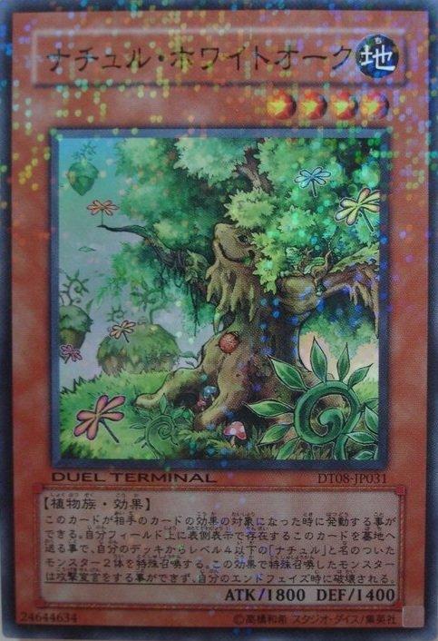 DT08-JP031 DTC3-JP051自然白橡樹 亮面 機台卡