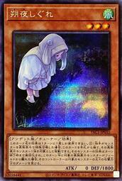 PAC1-JP035 朔夜時雨 (異圖.半鑽)