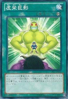 ST12-JP020 虛榮的幻影 日文普卡 ST12 起始套牌