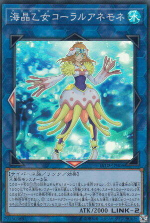 LVDS-JPB06 海晶乙女 珊瑚海葵 (亮面)