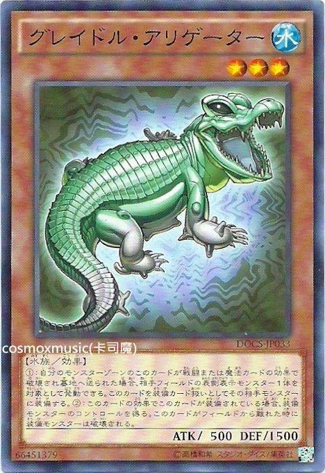 906 DOCS-JP033 灰蠱短吻鱷 (普卡)