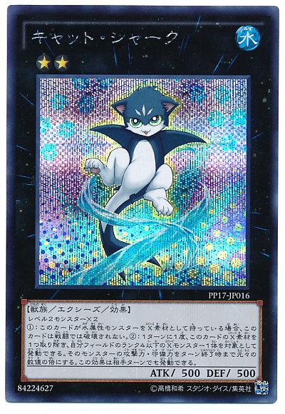 PP17-JP016 貓鯊- (半鑽)