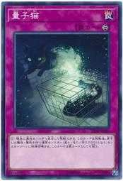SD32-JP037 量子貓 (普卡)