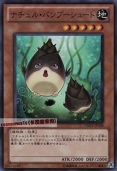 DREV-JP029 自然竹筍 日文亮面 701