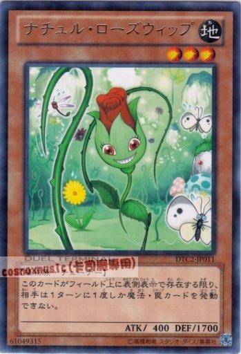 DT04-JP021 DTC2-JP011 自然薔薇鞭 日文銀字 機台
