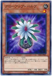 SD32-JP021 18SP-JP302 23TP-JP40 成長的球莖 普卡 GP16-JP001