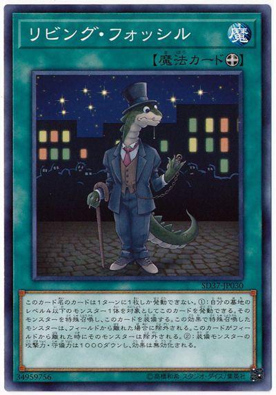 SD37-JP030 活化石 (普卡)