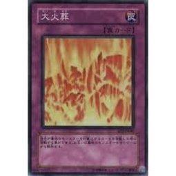 306-047 EE2-JP047 大火葬 (亮面)