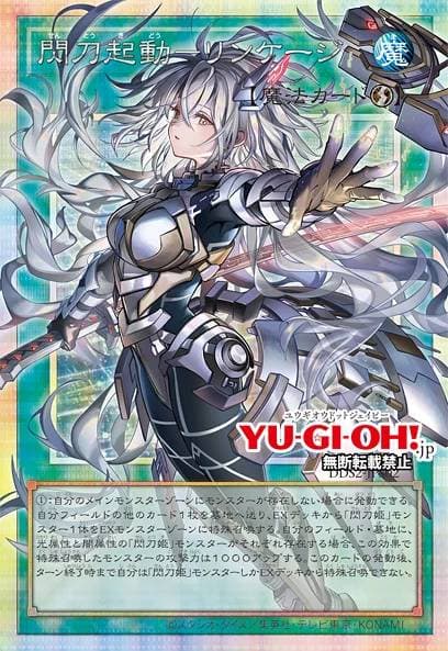 閃刀姬 豪華套組 (全新未拆) DDS2 特典卡、 桌墊、牌墊、卡盒 2