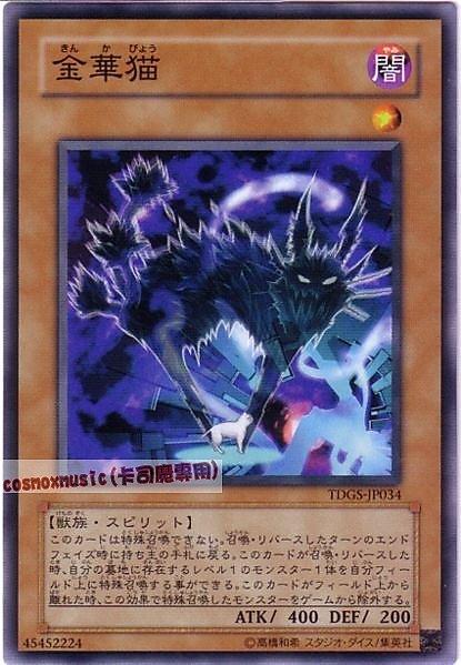 TDGS-JP034 金華貓 日文普卡 601