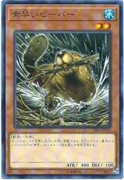 CIBR-JP040 迅捷河狸 (隱普) 1002
