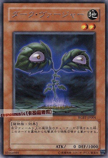 RGBT-JP004 黑暗葉綠體 日文銀字 604