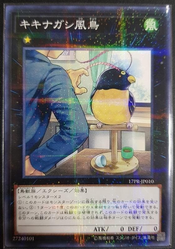 17PR-JP010 耳邊風鳥 (普鑽)