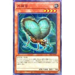 22TP-JP305 DUEA-JA039 DUEA-JP039 共振蟲 (普卡)