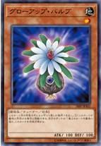 日紙 18SP-JP302 成長球莖 (普卡)