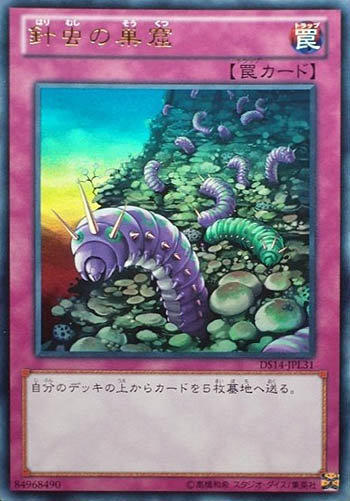 DS14-JPL31 針蟲巢窟(金亮)
