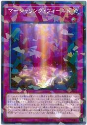 DBIC-JP045 盾徽統合場 (碎鑽)