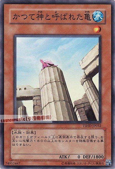 TSHD-JP032 曾經被稱為神的龜 日文隱普 608