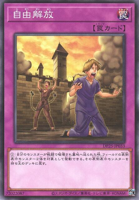 DP25-JP033 自由解放 (普卡)