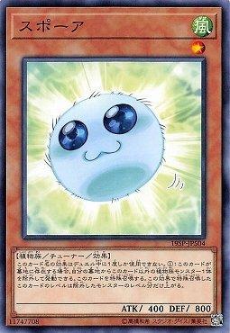 19SP-JP504 孢子 (普卡)