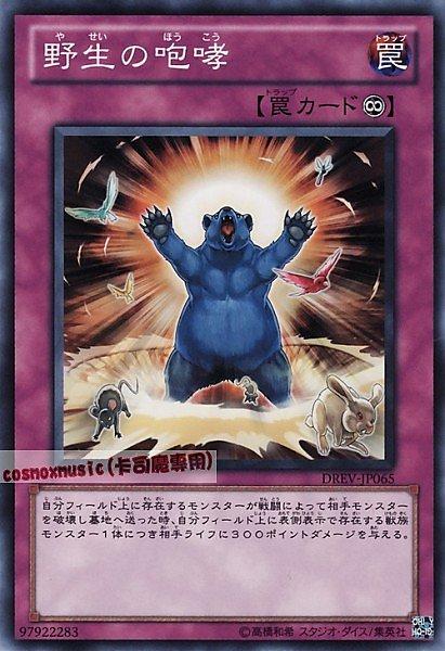 DREV-JP065 野生的咆哮 日文普卡 701