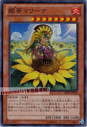 SHSP-JP040　姬葵瑪莉娜　日文亮面 806