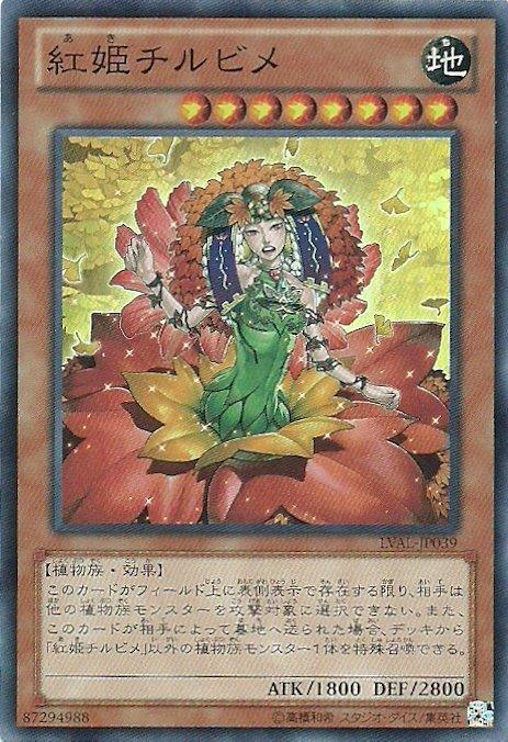 LVAL-JP039 紅姬 知流姬 日文亮面 807