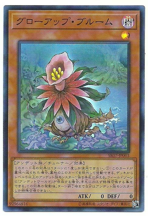 SR07-JP003 成長花朵 (亮面)
