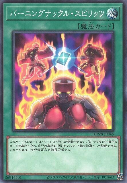 DP28-JP045 燃燒拳魂 (普卡)
