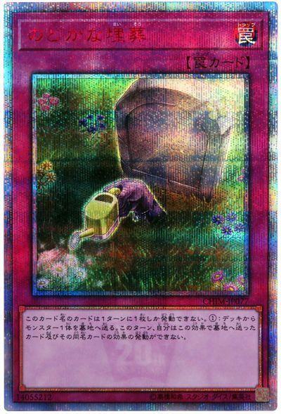 CHIM-JP077 長閑的埋葬 (紅鑽 ) 1010