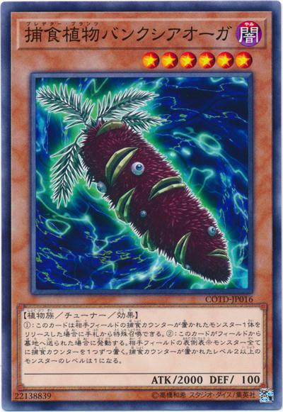 COTD-JP016 捕食植物食人斑克木 (普卡) 1001