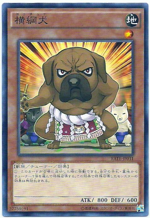 911 RATE-JP031 橫綱犬 (普卡)