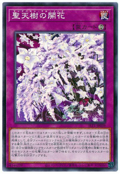 SLT1-JP039 聖天樹之開花 (普卡)