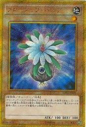 GP16-JP001 成長球莖 (黃金半鑽 )
