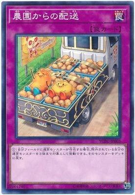 YCPC-JP003 來自農園的配送 (普卡) 搜:Calbee 薯片 洋芋片
