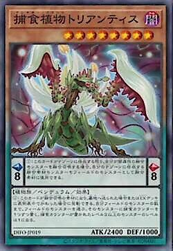DIFO-JP019 捕食植物 假水仙螳螂(普卡) 1108