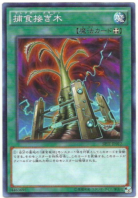 SPFE-JP012 捕食嫁接 (普卡)