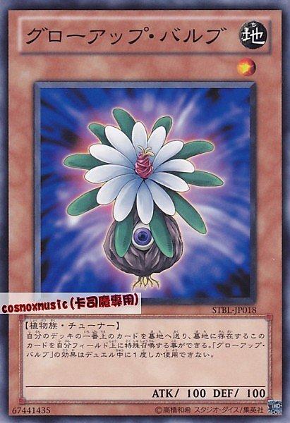 STBL-JP018 成長球莖 日文普卡 702
