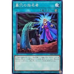 SD48-JP027 TT02-JPA21 JPB17 SD47-026 SR11-033 墓穴的指名者普