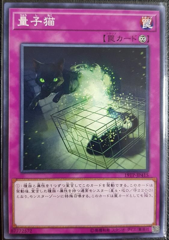 SD32-JP037 19TP-JP415 量子貓