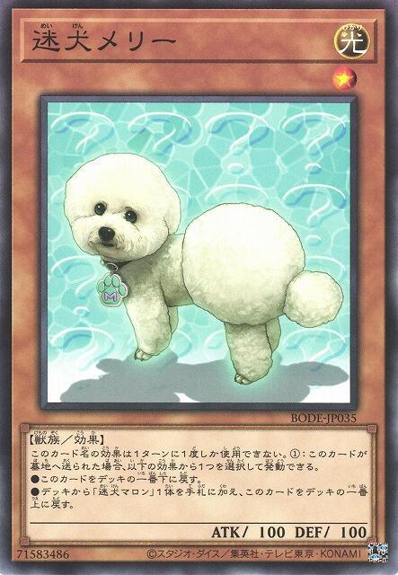 BODE-JP035 迷犬梅莉 (隱普) 1106
