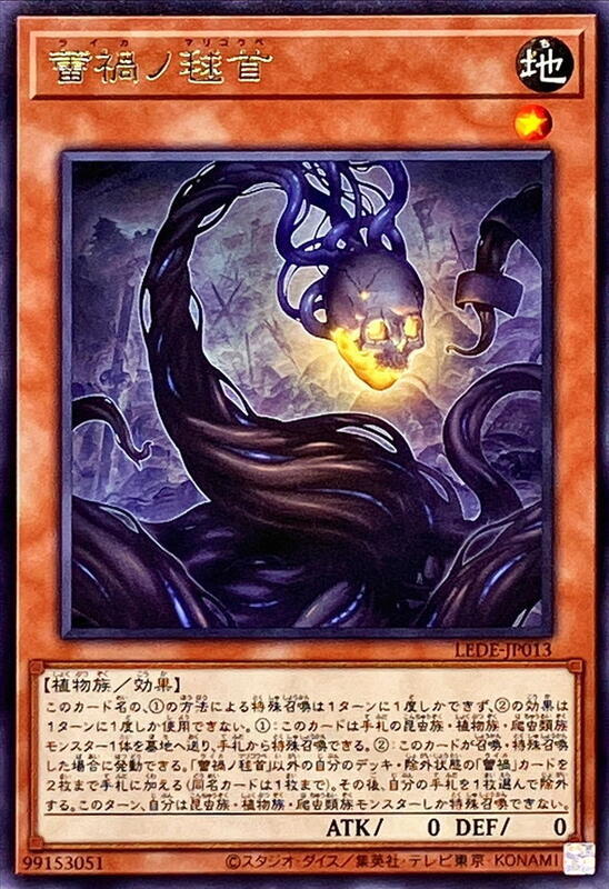 LEDE-JP013 蕾禍的毬首 (銀字)1204