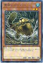 22TP-JP209 迅捷河狸迅捷河狸 (普卡)