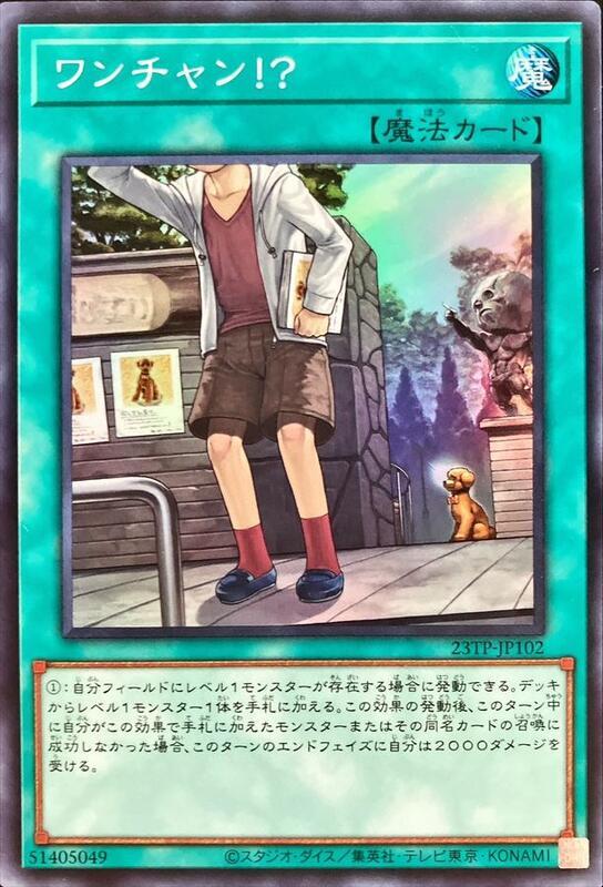 23TP-JP102 唯一機會 (亮面)