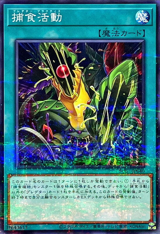 SUB1-JP040 捕食活動 (普鑽)